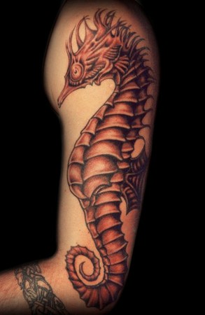 Gido - sea horse tattoo